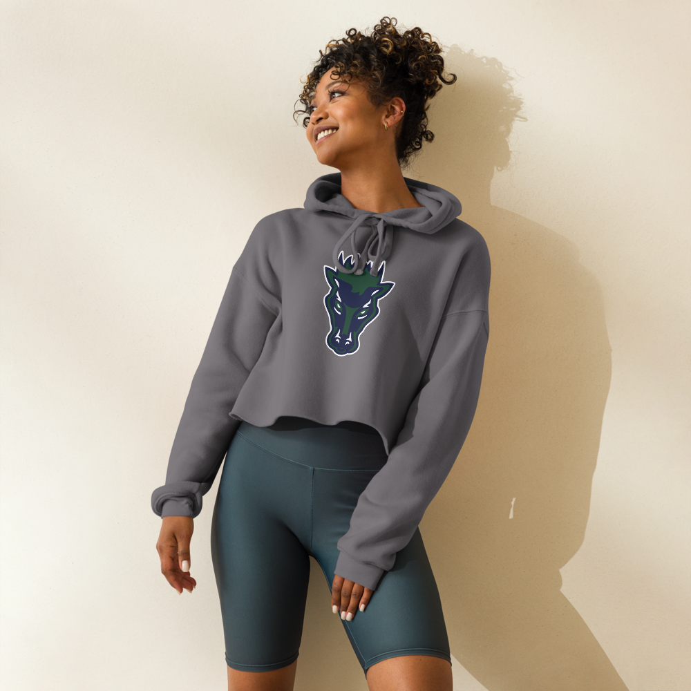 Damonte Ranch High School Design 1 — Storm