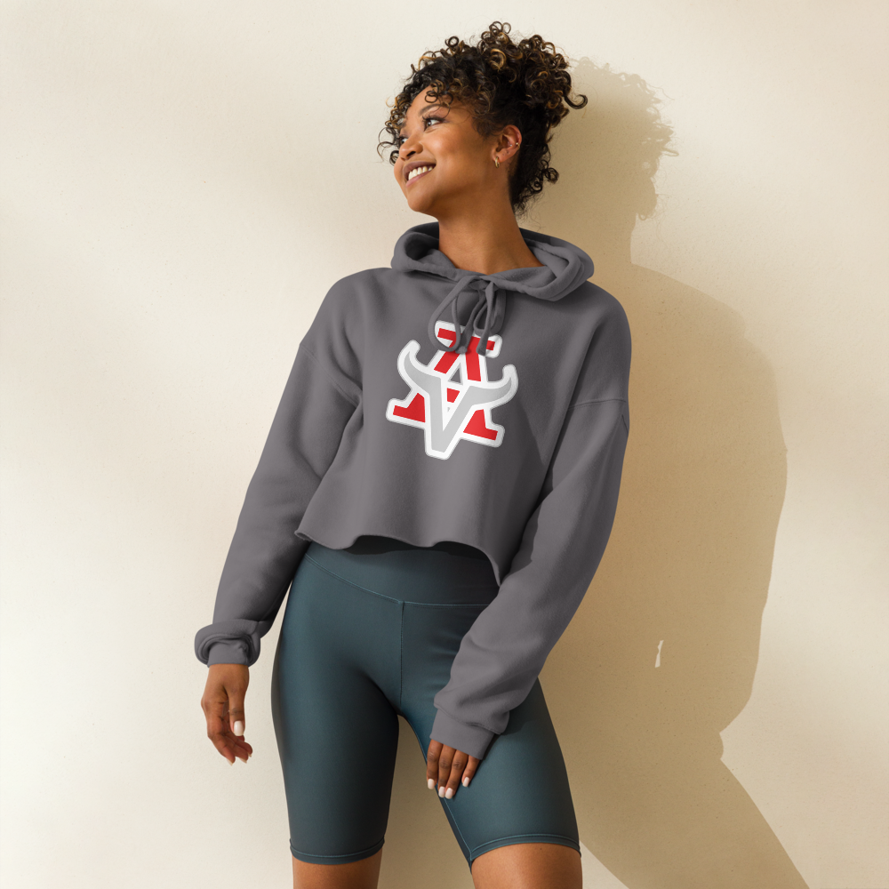 Arbor View High School Design 1 — Storm