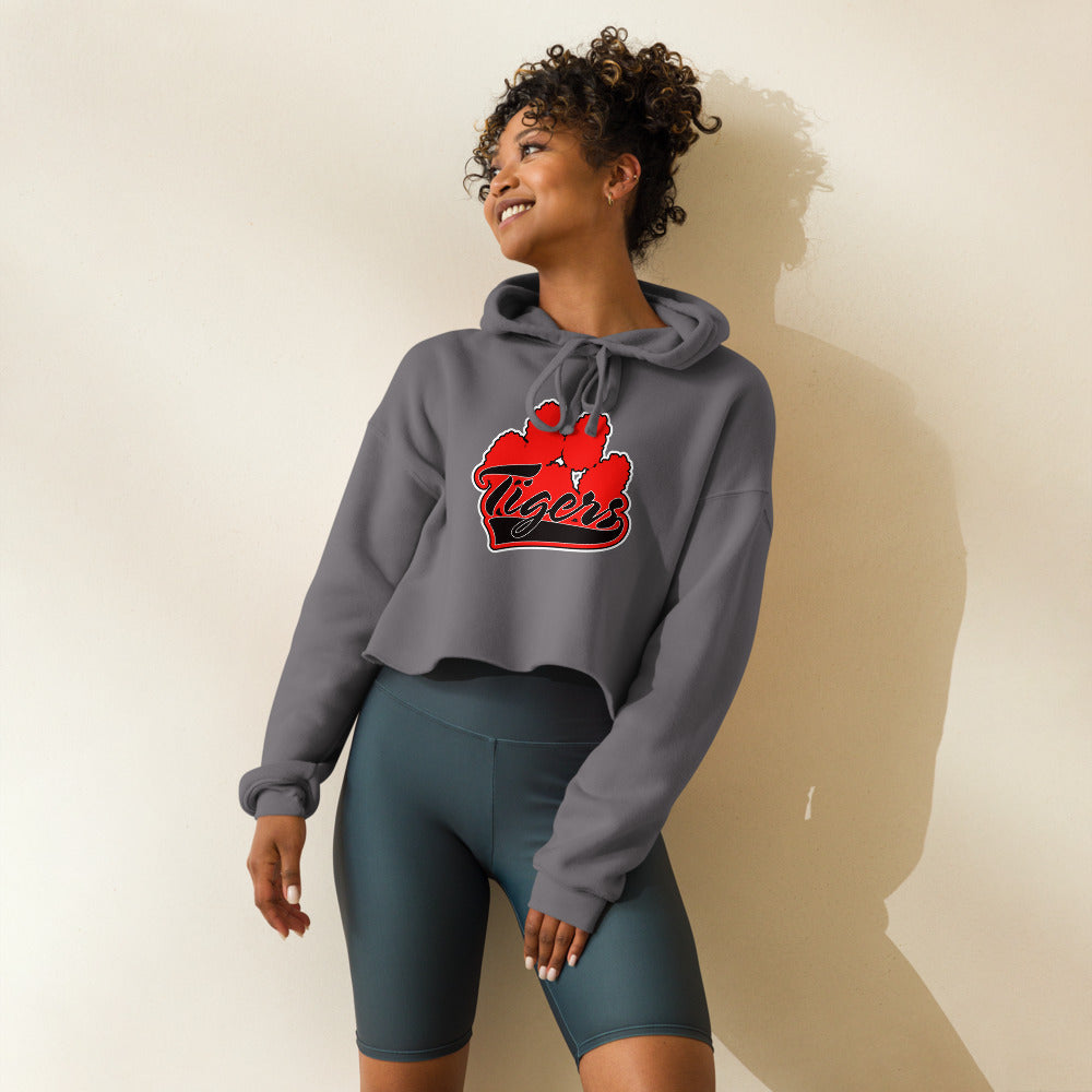Cleburne County High School Design 1 — Storm