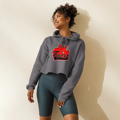 Cleburne County High School Design 1 — Storm