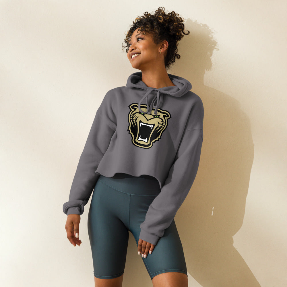 Cullman High School Design 1 — Storm