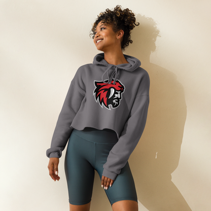 American Fork Cavemen Design 1 — Storm