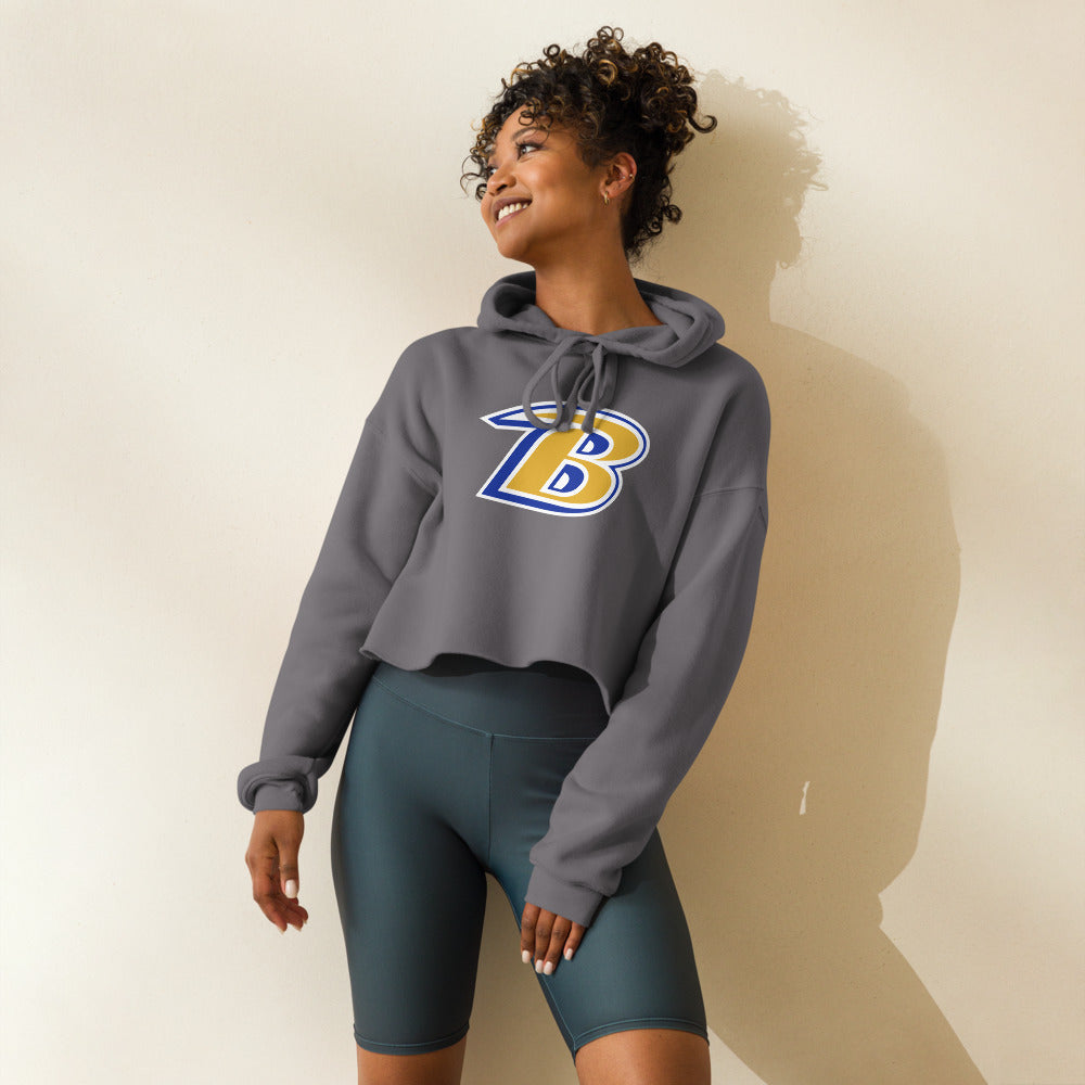 Beauregard High School Design 1 — Storm