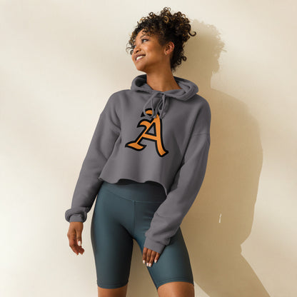 Alexandria High School Design 1 — Storm
