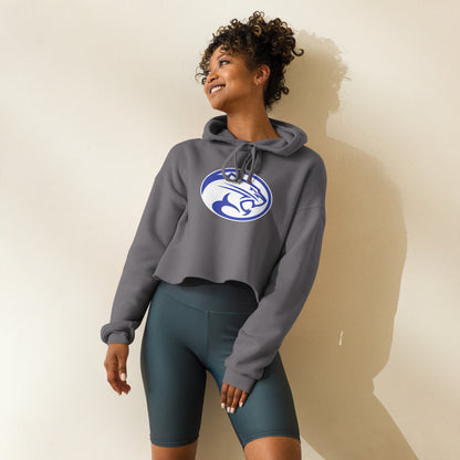 Central High School Coosa County Design 1 — Storm