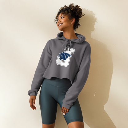 Jemison High School Design 1 — Storm