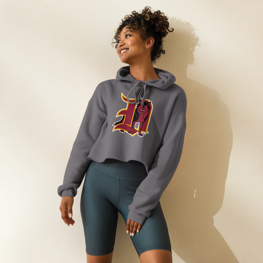 Dothan High School Design 1 — Storm