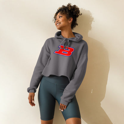 Albert P. Brewer High School Design 1 — Storm