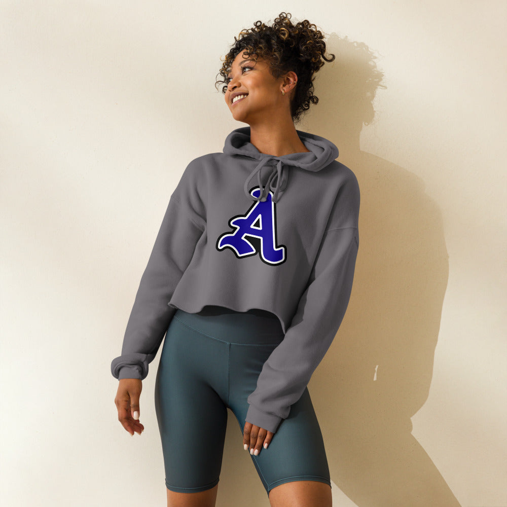 Auburn High School Design 1 — Storm