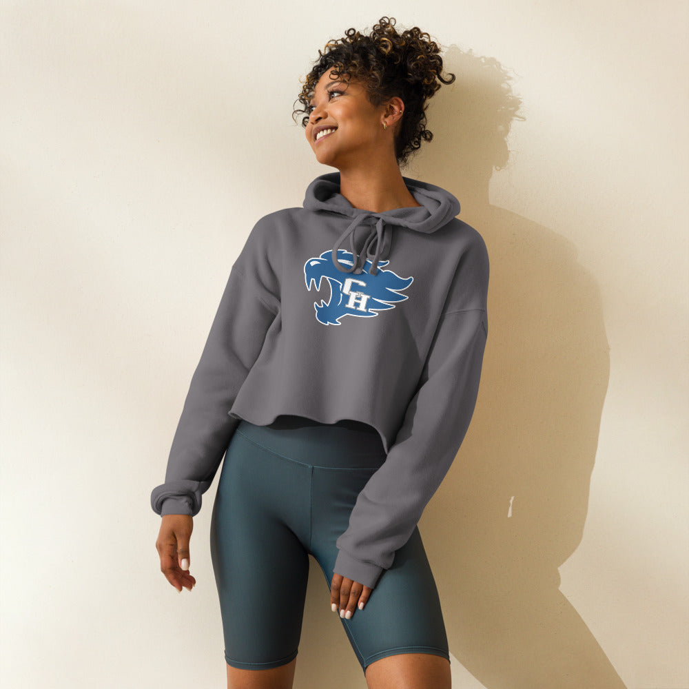 Colbert Heights High School Design 1 — Storm