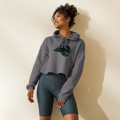 Pelham High School Design 1 — Storm