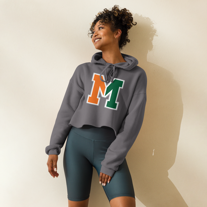 Mojave High School Design 1 — Storm