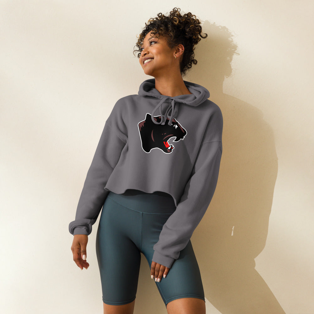 Collinsville High School Design 1 — Storm