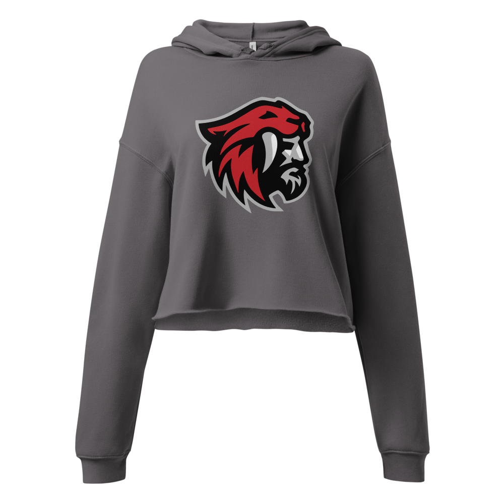 American Fork Cavemen Design 1 — Storm