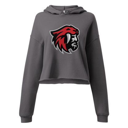 American Fork Cavemen Design 1 — Storm
