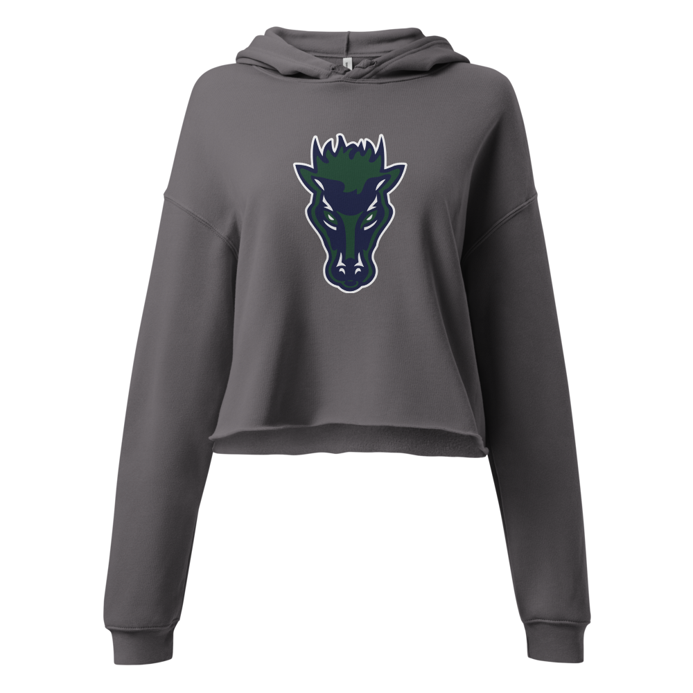 Damonte Ranch High School Design 1 — Storm