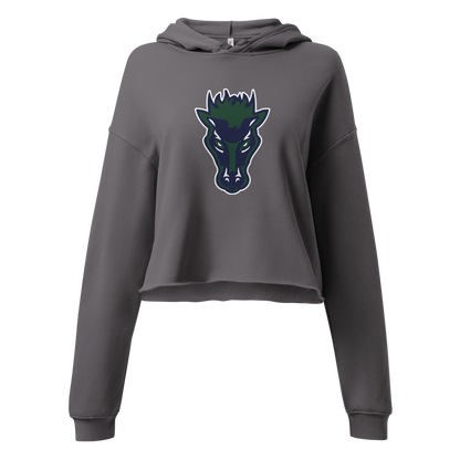 Damonte Ranch High School Design 1 — Storm