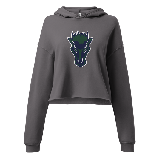 Damonte Ranch High School Design 1 — Storm