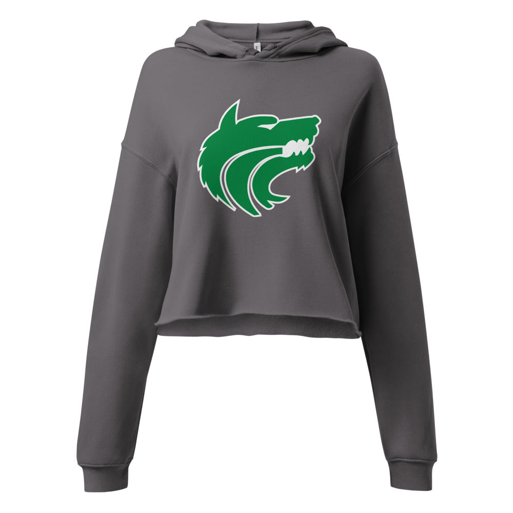 Vigor High School Design 1 — Storm