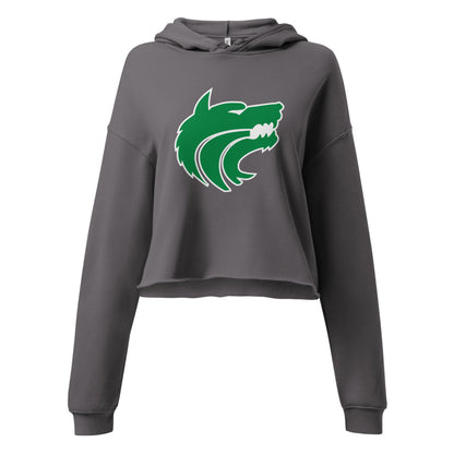 Vigor High School Design 1 — Storm