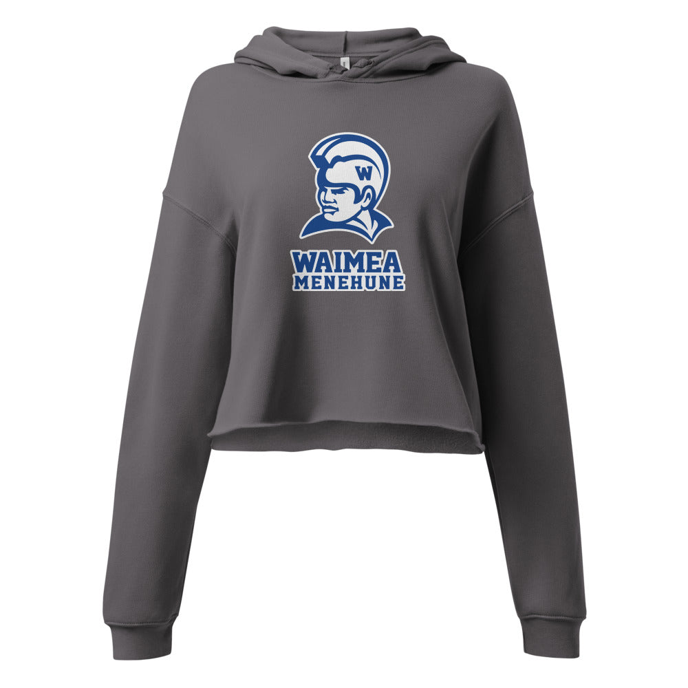 Waimea High School Design 1 — Storm