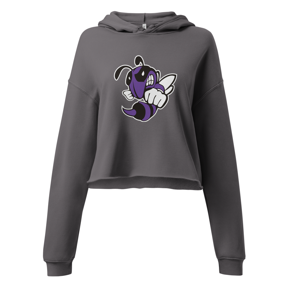 Box Elder High School Design 1 — Storm