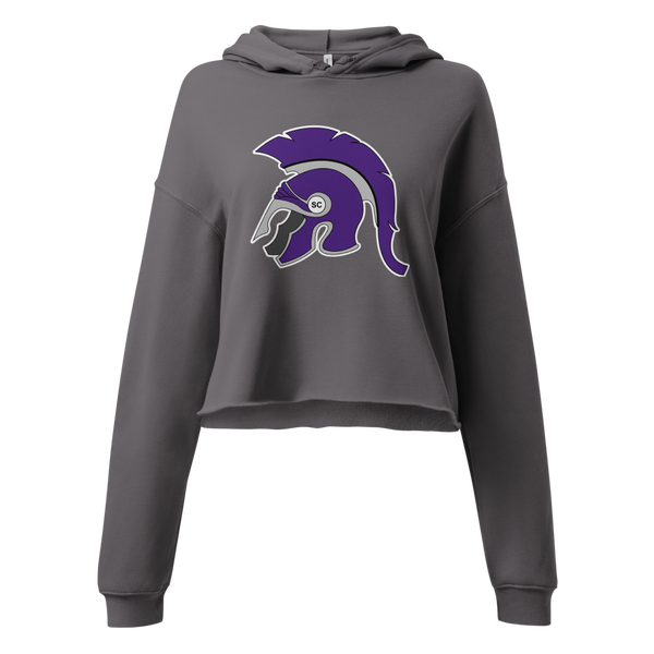 Spring Creek High School Design 1 — Storm