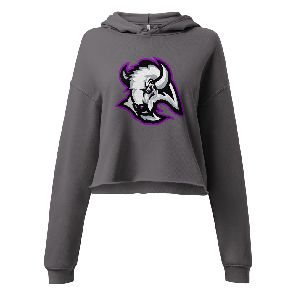 A H Parker High School Design 1 — Storm