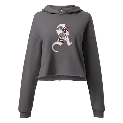 Abbeville High School Design 1 — Storm