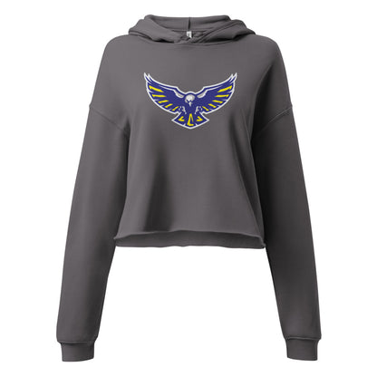 Cold Springs High School Design 1 — Storm