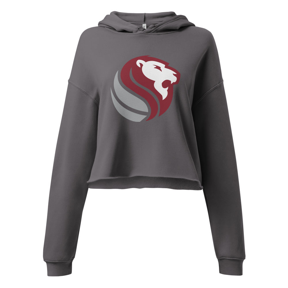 Haleyville High School Design 1 — Storm