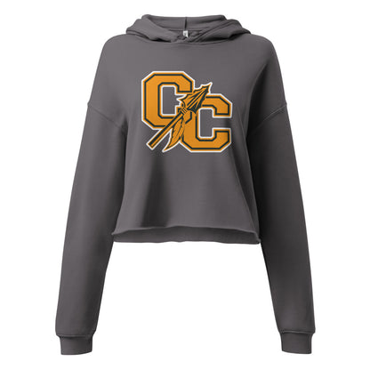 Cherokee County HIgh School Design 1 — Storm
