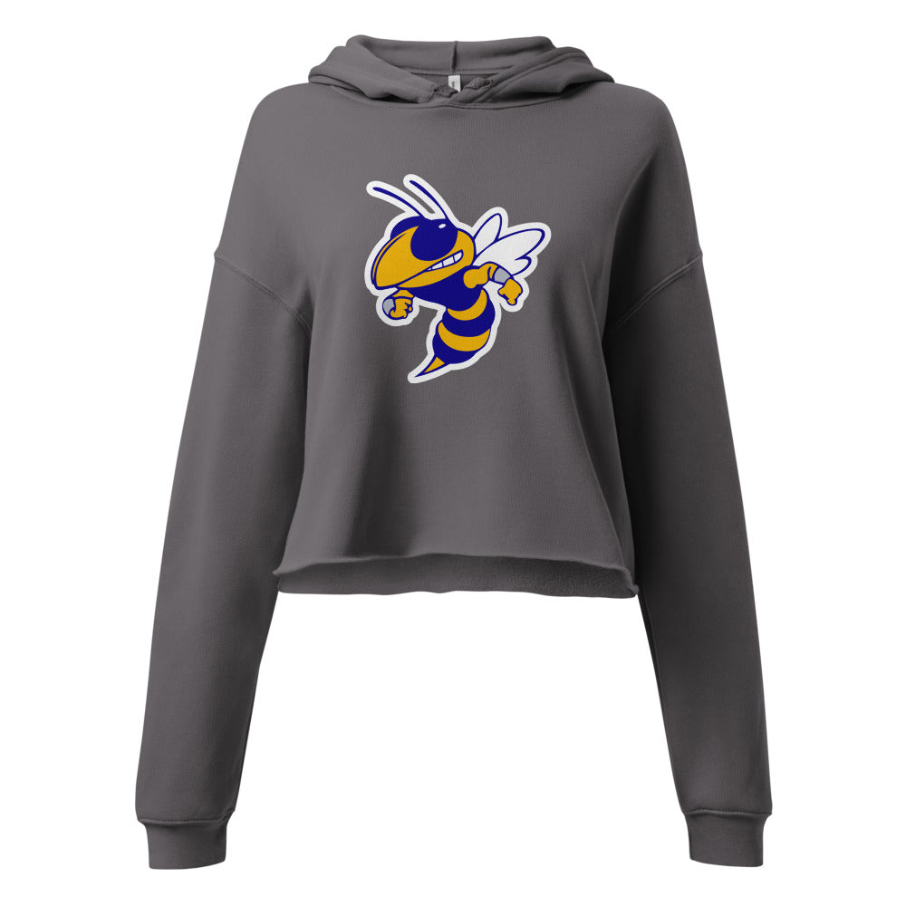 Curry High School Design 1 — Storm