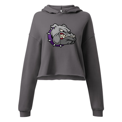 Hanceville High School Design 1 — Storm