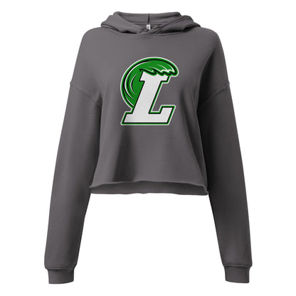 Leeds High School Design 1 — Storm
