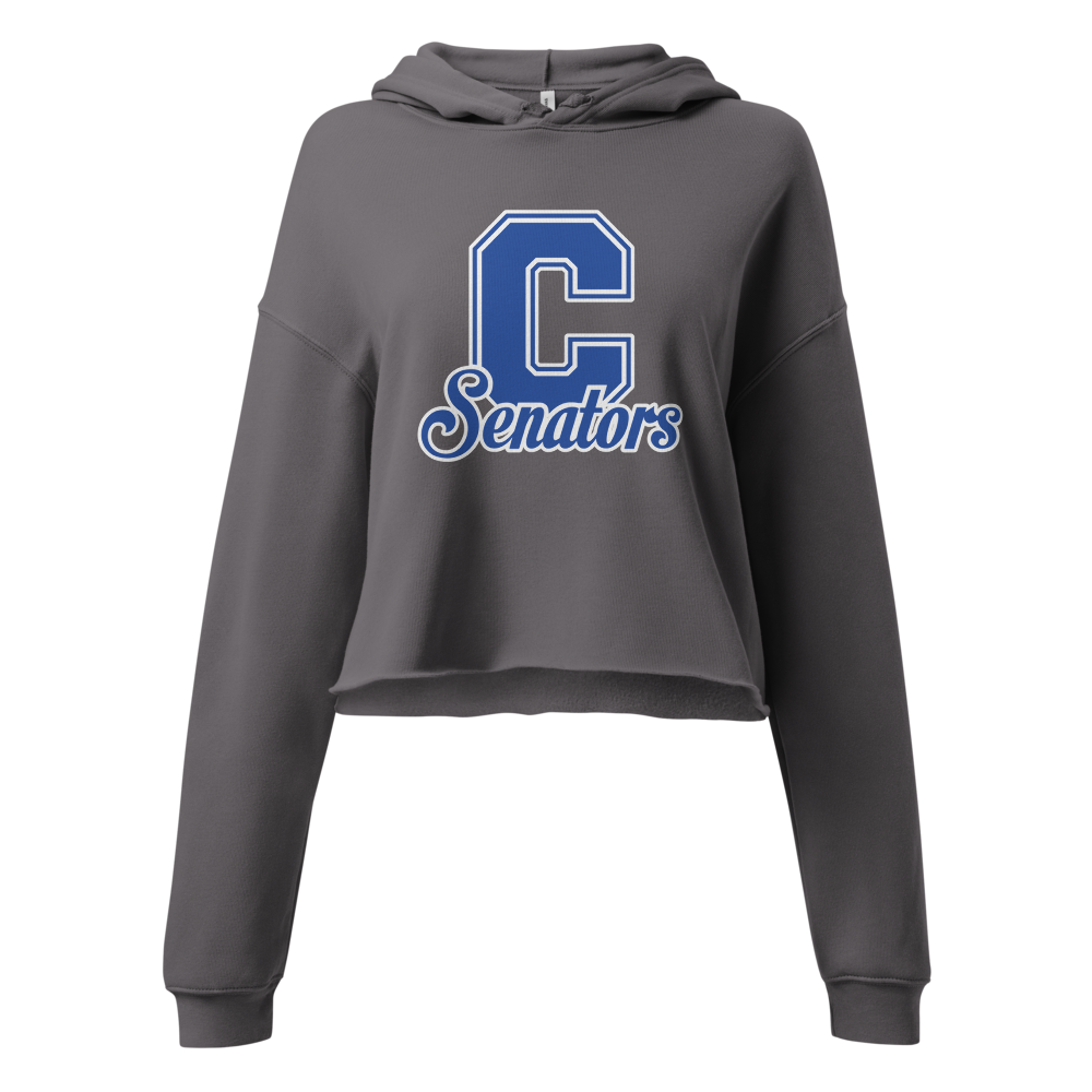Carson High School Design 1 — Storm