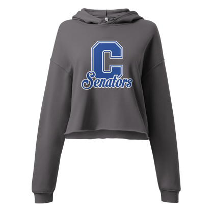 Carson High School Design 1 — Storm