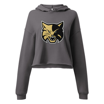 Fort Payne High School Design 1 — Storm