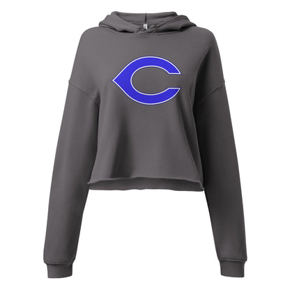 Childersburg High School Design 1 — Storm
