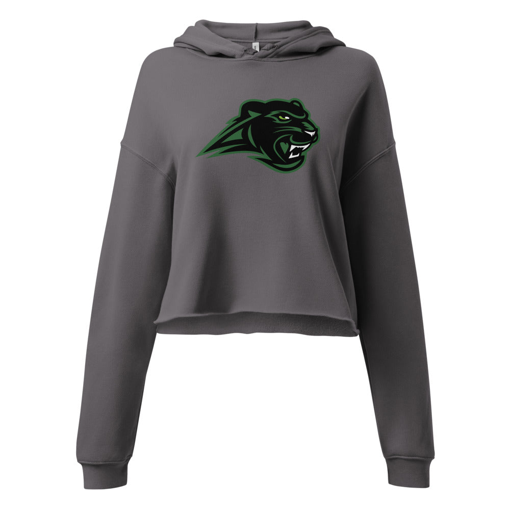 Pelham High School Design 1 — Storm