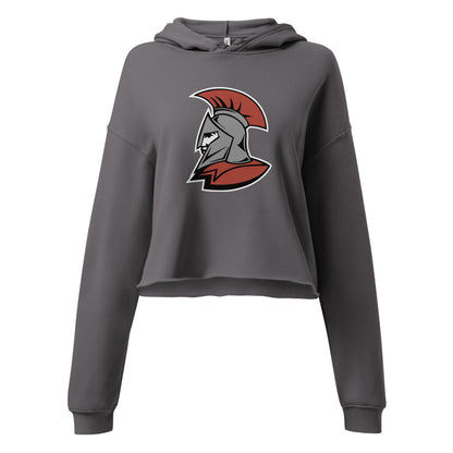 Saraland High School Design 1 — Storm