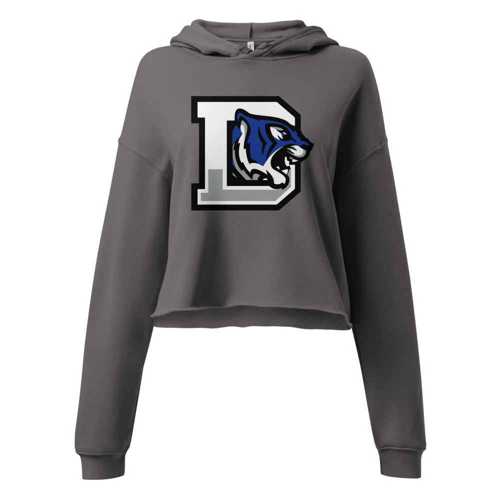 Demopolis High School Design 1 — Storm