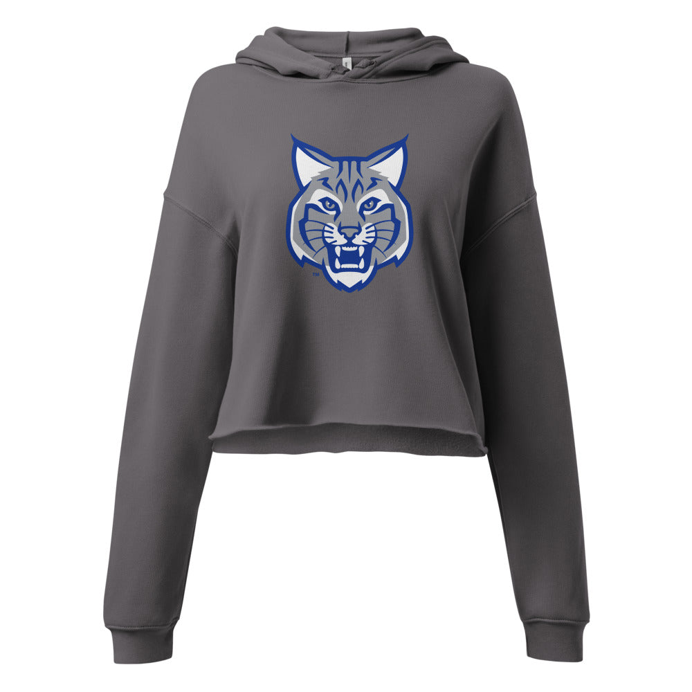 Oakman High School Design 1 — Storm