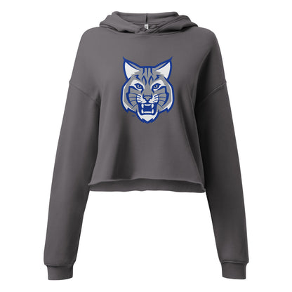 Oakman High School Design 1 — Storm