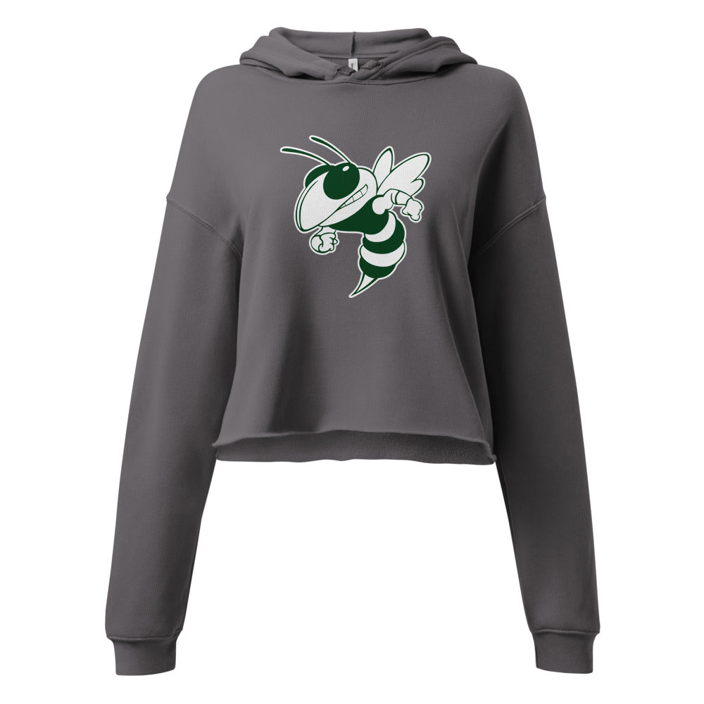 Locust Fork High School Design 1 — Storm