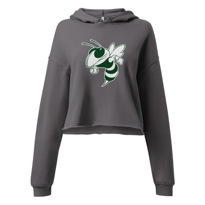 Locust Fork High School Design 1 — Storm
