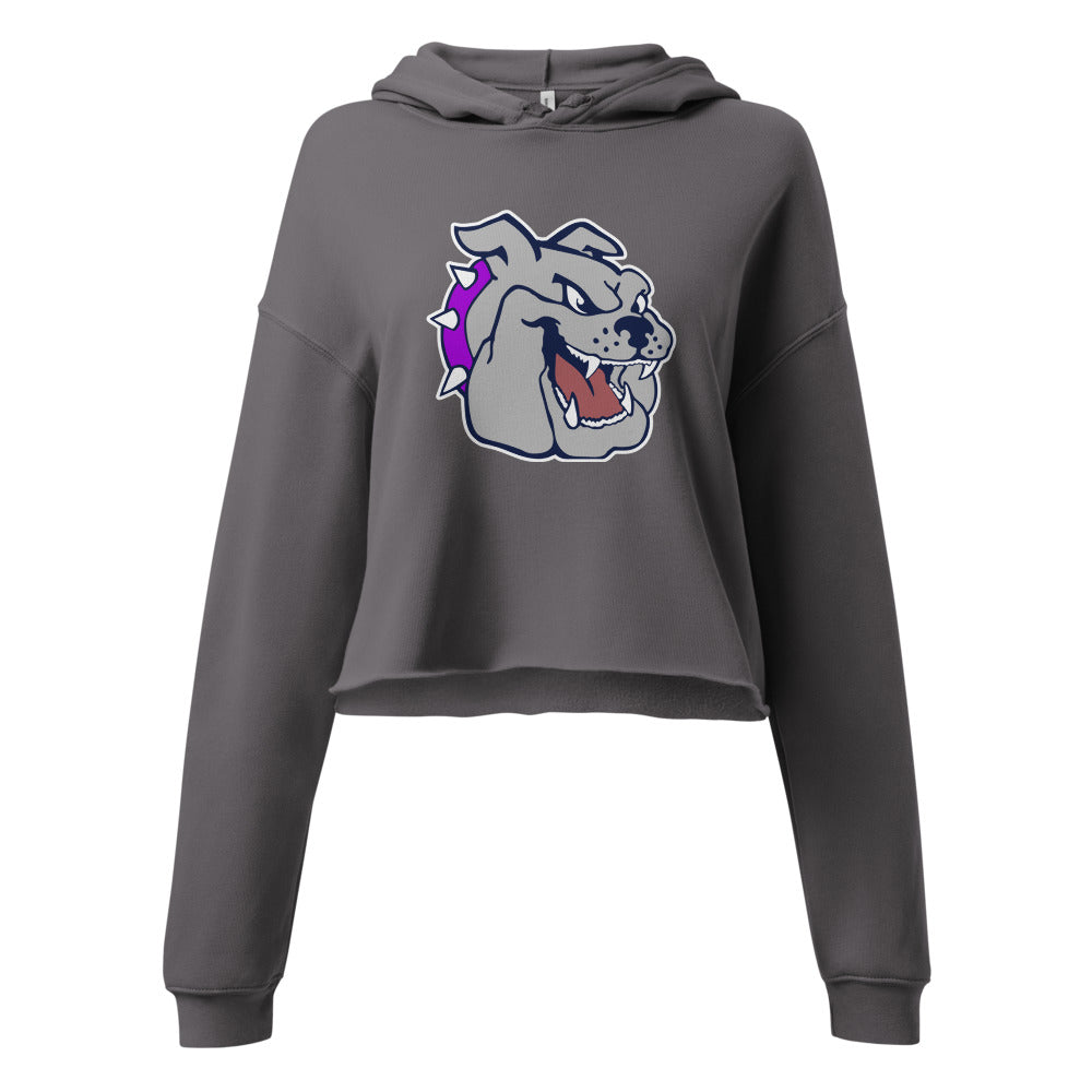 Sheffield High School Design 1 — Storm