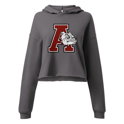 Anniston High School Design 1 — Storm