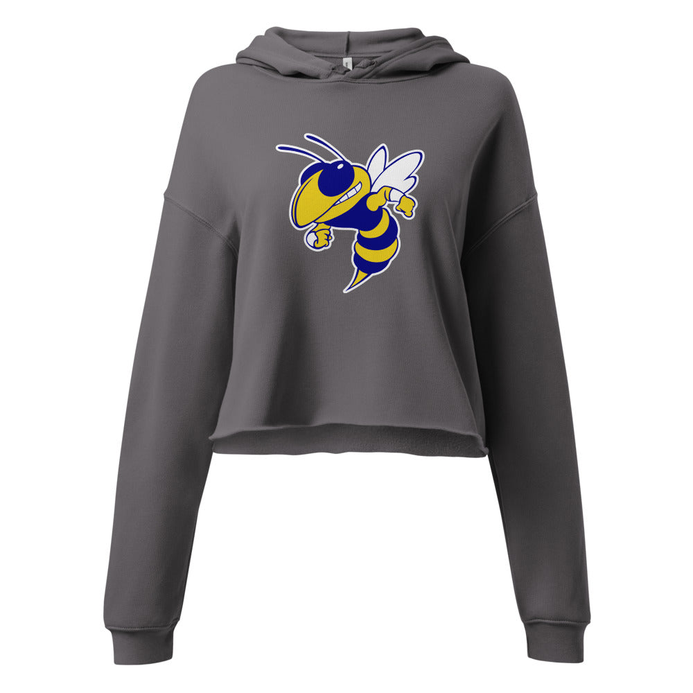 Aliceville High School Design 1 — Storm