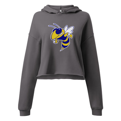 Aliceville High School Design 1 — Storm